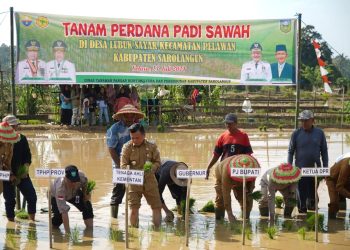 Tanam Padi Sawah di Lubuk Sayak, Al Haris: Aksi Perkuat Ketahanan PanganA