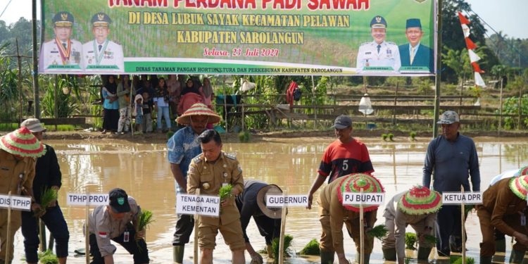 Tanam Padi Sawah di Lubuk Sayak, Al Haris: Aksi Perkuat Ketahanan PanganA