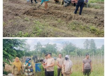 Kapolsek Pemayung Tinjau Lahan Untuk Lumbung Ketahanan Pangan di Kabupaten Batanghari