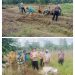 Kapolsek Pemayung Tinjau Lahan Untuk Lumbung Ketahanan Pangan di Kabupaten Batanghari