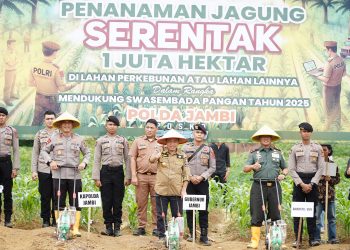 Gubernur Al Haris, Kapolda, Danrem 042 Gapu dan Forkopimda Lakukan Penanaman Bibit Jagung Dukung Swasembada Pangan