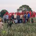 Menteri Desa Yandri Susanto Bersama Al Haris Kunjungi Desa Wisata Tangkit Baru