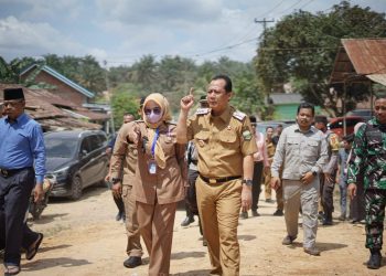 Bupati BBS Tinjau Jembatan Rusak Di Desa Suko Awin Jaya