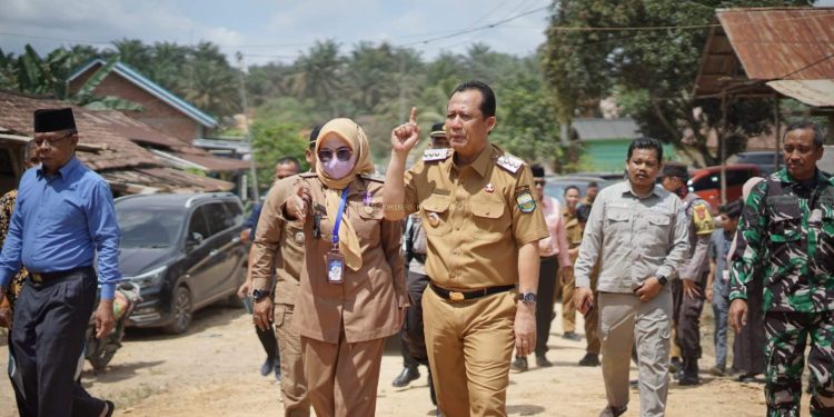 Bupati BBS Tinjau Jembatan Rusak Di Desa Suko Awin Jaya