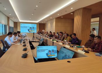 Audiensi dengan Menkes, Gubernur Al Haris Dorong Pemerataan dan Penguatan Layanan Kesehatan Daerah