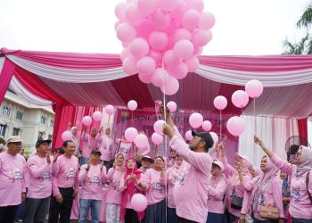 Sekda Sudirman: IBI Garda Terdepan Jaga Kesehatan Ibu dan Anak
