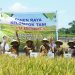 Bupati Muaro Jambi, Dr. Bambang Bayu Suseno, Melakukan Panen Raya Perdana Padi Kelompok Tani Jaya Bersama Desa Pudak, Kecamatan Kumpeh Ulu