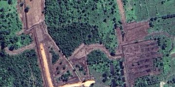 MAKATARA Ungkap Telah Terjadi Perubahan Tutupan Dari Hamparan Hijau Menjadi Lahan Terbuka Atas Aktivitas TUKS PT.SAS