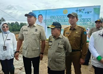 Gubernur Al Haris Dampingi Wamen Pertanian Pimpin Tanam Serempak di CSR Batanghari