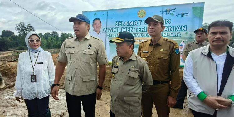 Gubernur Al Haris Dampingi Wamen Pertanian Pimpin Tanam Serempak di CSR Batanghari