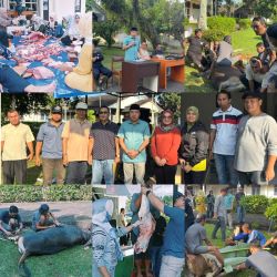 Semangat Idul Adha di BPSDM Jambi, Tiga Sapi Dikurbankan, Harapan untuk Kebersamaan dan Berkah