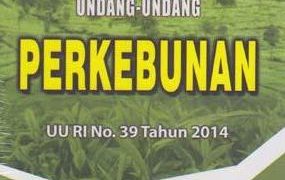Warga Desa Petaling Pertanyakan Realisasi Kewajiban 20% Lahan Perusahaan Sawit Sesuai UU No. 39/2014